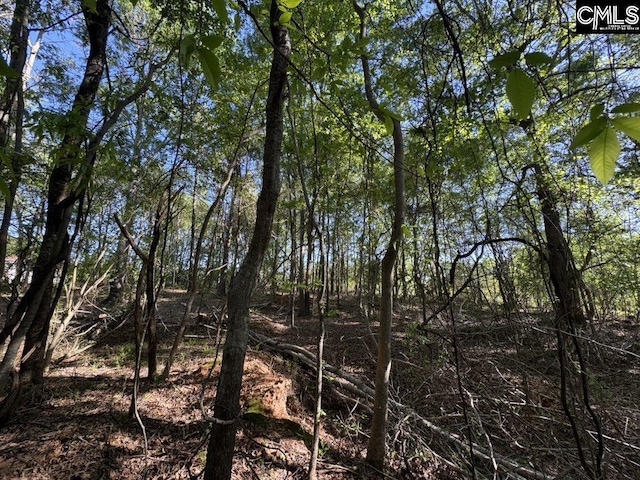 Shaw Rd Unit 19, Woodruff, SC 29388
