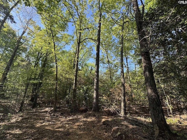 Shaw Rd Unit 19, Woodruff, SC 29388