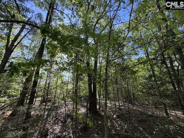Shaw Rd Unit 19, Woodruff, SC 29388
