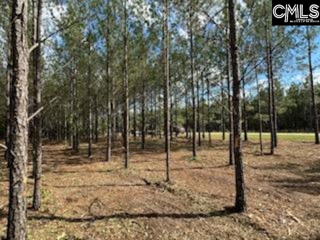 HHF3 Old Georgetown Rd Unit 3, Kershaw, SC 29067