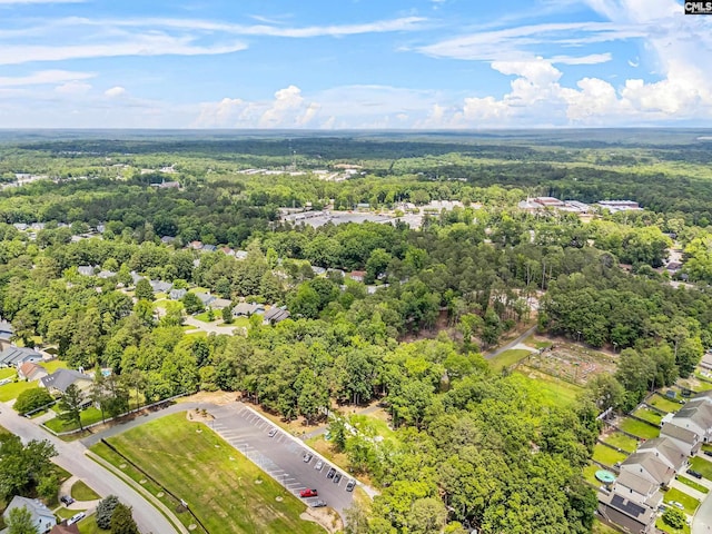 401 Brickling Rd, Irmo, SC 29063 - drone / aerial view of a forest