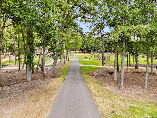 401 Brickling Rd, Irmo, SC 29063 - surrounding community featuring view of scattered trees