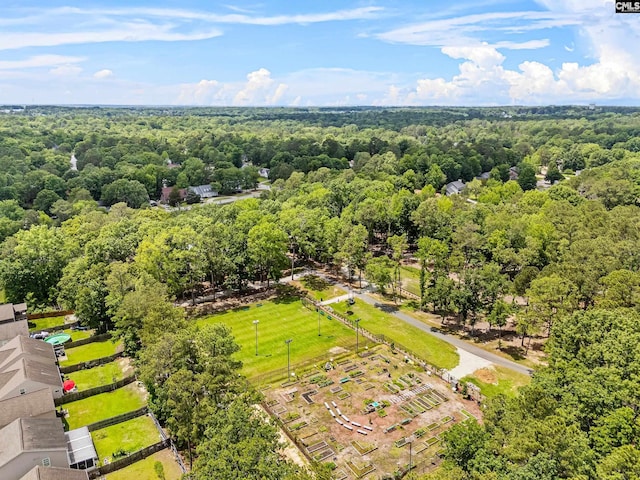 401 Brickling Rd, Irmo, SC 29063 - drone / aerial view of a forest