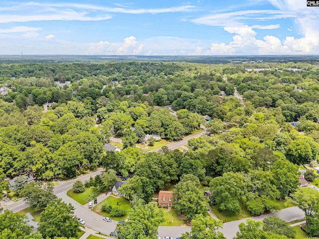 401 Brickling Rd, Irmo, SC 29063 - bird's eye view of a forest