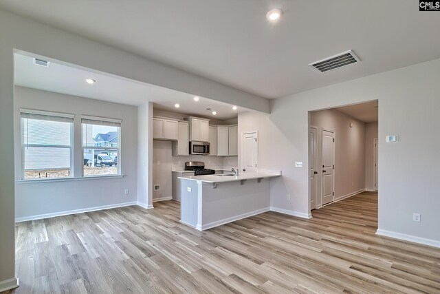 1099 Cornelia St, Elgin, SC 29045