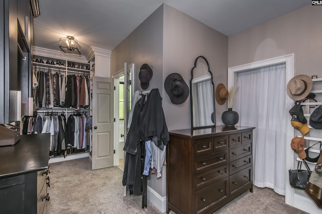 3 Puddle Ln, Camden, SC 29020 - walk in closet with carpet flooring