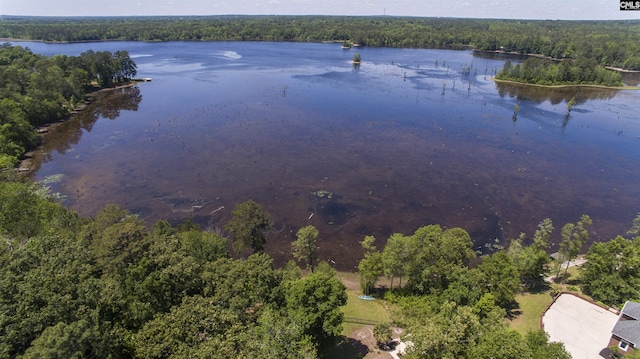 3 Puddle Ln, Camden, SC 29020 - aerial view of a forest and a nearby body of water