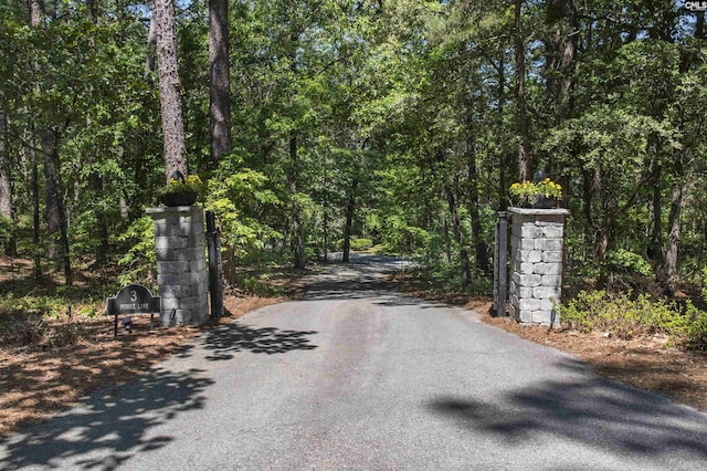 3 Puddle Ln, Camden, SC 29020 - view of asphalt driveway featuring a forest view and a gated entry