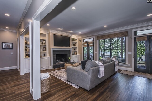 3 Puddle Ln, Camden, SC 29020 - living area featuring ornamental molding, baseboards, dark wood-type flooring, a fireplace, and recessed lighting