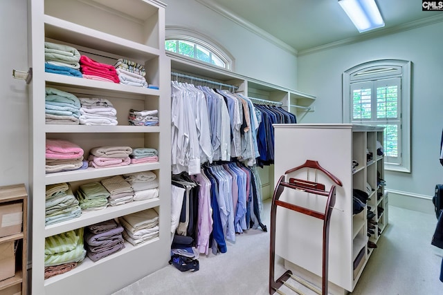 104 Preserve Ln, Columbia, SC 29209 - walk in closet featuring carpet flooring