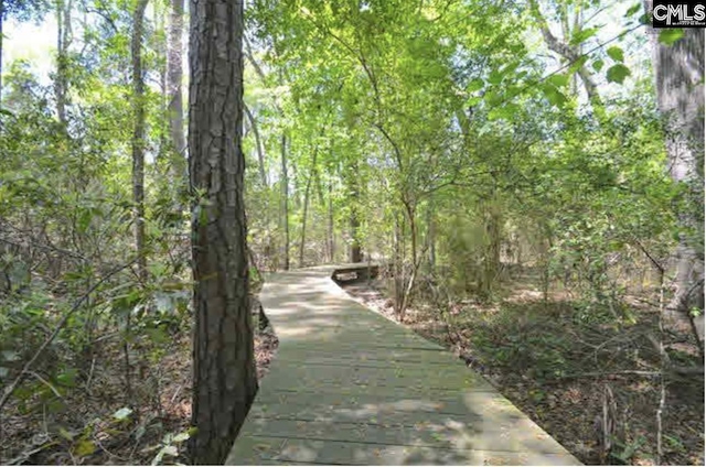 104 Preserve Ln, Columbia, SC 29209 - view of home's community with a view of trees