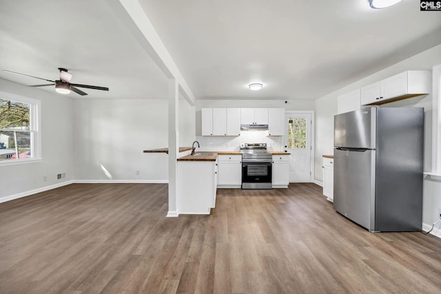 4520 Bluff Rd, Columbia, SC 29209 - kitchen featuring appliances with stainless steel finishes, a sink, healthy amount of natural light, and ceiling fan