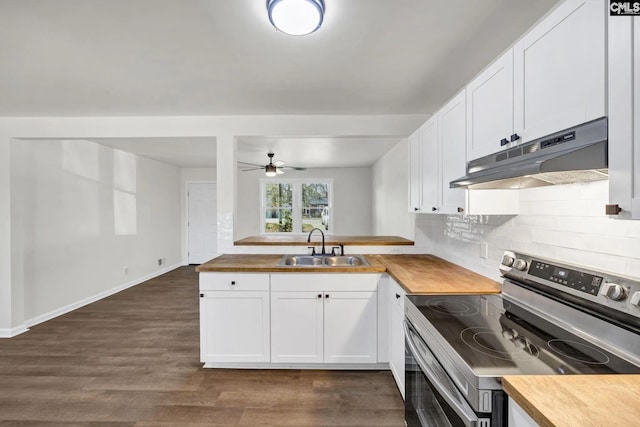 4520 Bluff Rd, Columbia, SC 29209 - kitchen featuring electric range, under cabinet range hood, a sink, wood counters, and ceiling fan