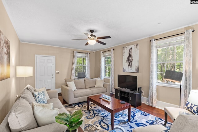 4117 Beecliff Dr, Columbia, SC 29205 - living room featuring wood finished floors, ceiling fan, baseboards, and crown molding