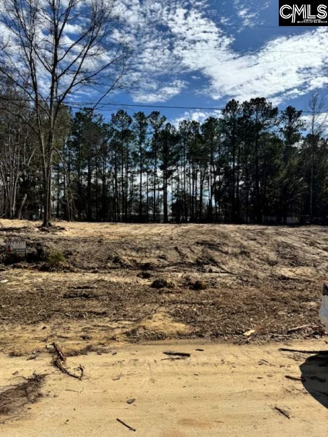 47 Timber Ln, Orangeburg, SC 29118