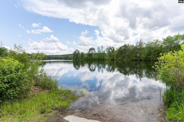 603 Rose Quartz Ln, Lexington, SC 29073 - water view featuring a forest