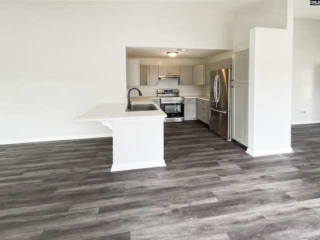 8 Brushwood Ct, Columbia, SC 29229 - kitchen featuring appliances with stainless steel finishes, gray cabinets, a sink, under cabinet range hood, and baseboards