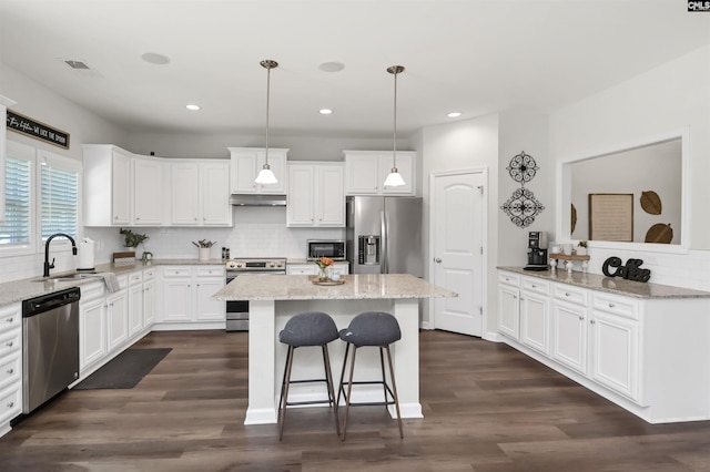 436 N Cobia Ct, Irmo, SC 29063 - kitchen featuring stainless steel appliances, under cabinet range hood, tasteful backsplash, white cabinetry, and recessed lighting