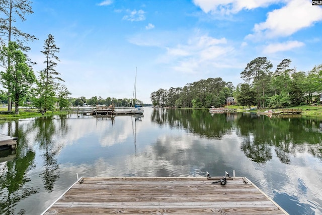 dock featuring a water view