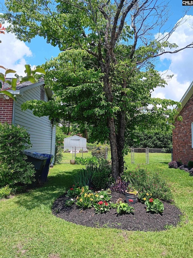6603 Christie Rd, Columbia, SC 29209 - view of yard