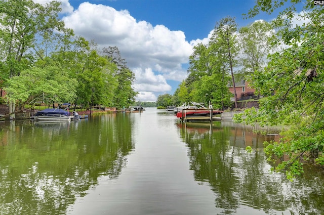 water view featuring a boat dock