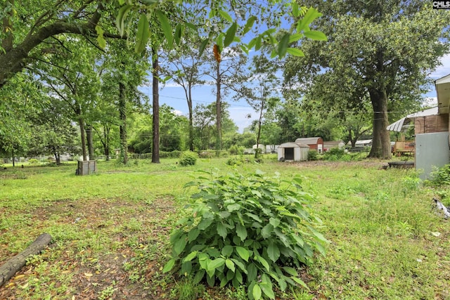 7608 Stone St, Columbia, SC 29209 - view of yard featuring a storage shed, an outdoor structure, and view of scattered trees