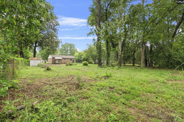 7608 Stone St, Columbia, SC 29209 - view of yard