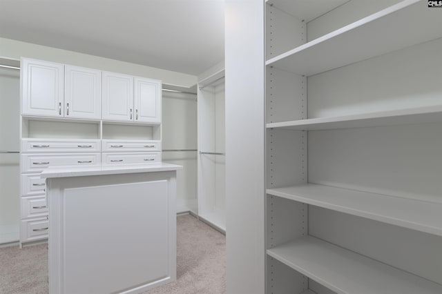 spacious closet with light colored carpet