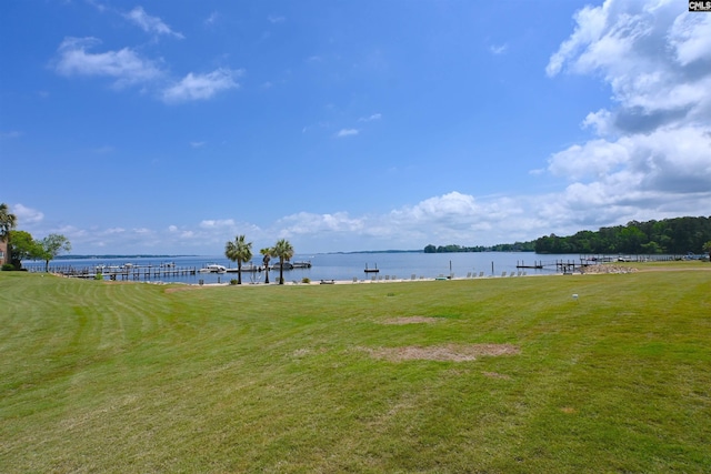 2 Indian Creek Trl, Lexington, SC 29072 - view of grassy yard featuring a water view and a dock