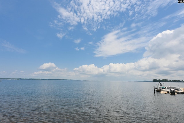 2 Indian Creek Trl, Lexington, SC 29072 - water view featuring a dock
