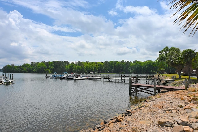 2 Indian Creek Trl, Lexington, SC 29072 - dock area with a water view