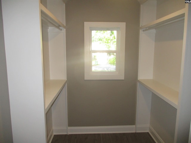 walk in closet featuring dark wood-style flooring