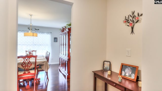 hallway featuring dark wood-style flooring and baseboards