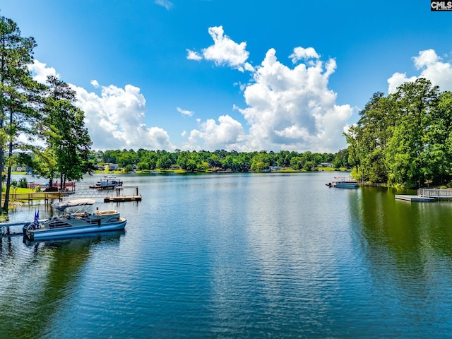 130 Heavens Edge Ct, Chapin, SC 29036 - water view featuring a boat dock