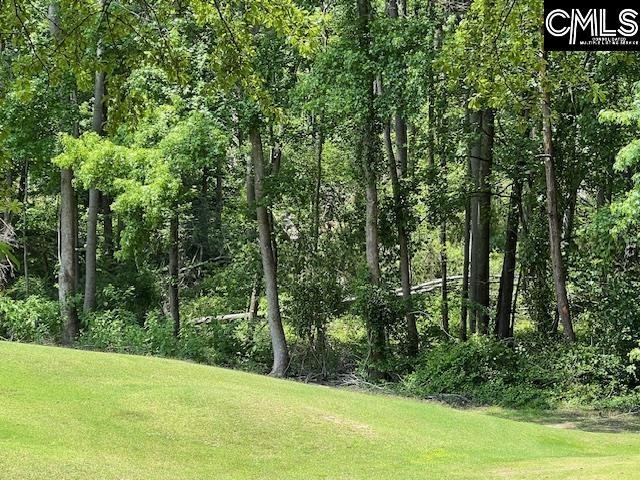 60 Shagbark Ct, Aiken, SC 29803