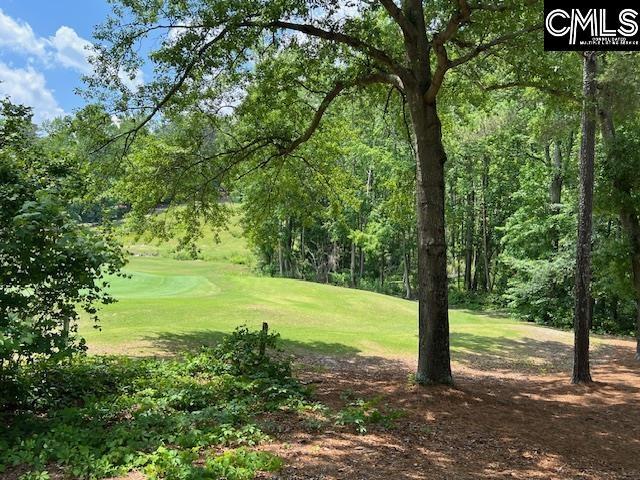60 Shagbark Ct, Aiken, SC 29803