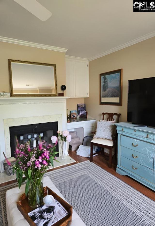 124 Carlyle Cir, Columbia, SC 29206 - living room with wood finished floors, ornamental molding, and a fireplace
