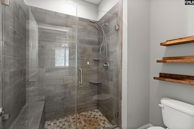 1307 Dusty Rd, Cope, SC 29038 - bathroom featuring toilet and a shower stall