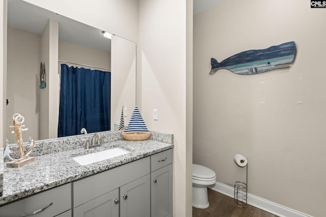 1307 Dusty Rd, Cope, SC 29038 - full bath with wood finished floors, toilet, baseboards, vanity, and a shower with shower curtain