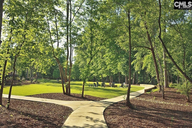 1016 Manarola Rd, Lexington, SC 29072 - surrounding community with a yard