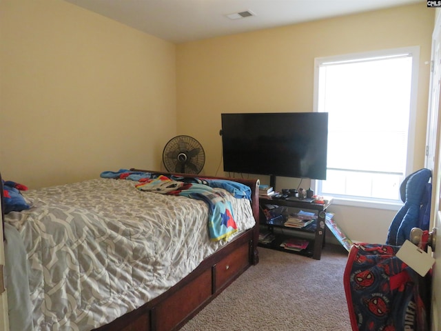 719 Applegate Ln, Columbia, SC 29209 - bedroom with carpet floors