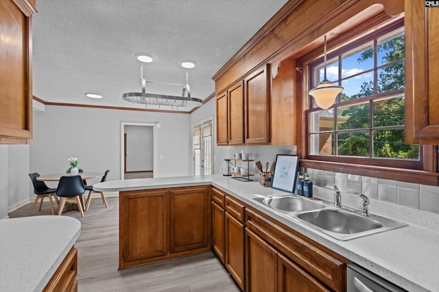 3040 Barnes Springs Rd, Columbia, SC 29204 - kitchen featuring a sink, a peninsula, healthy amount of natural light, light countertops, and ornamental molding