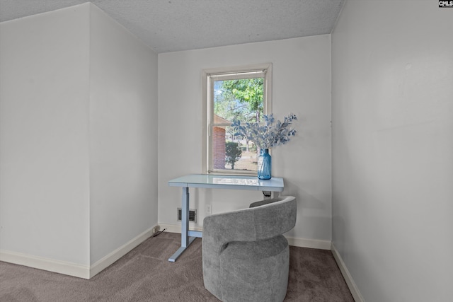 3040 Barnes Springs Rd, Columbia, SC 29204 - office featuring carpet flooring, a textured ceiling, and baseboards
