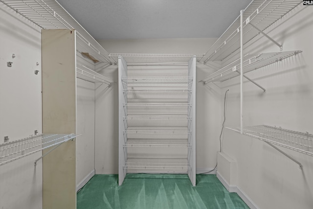3040 Barnes Springs Rd, Columbia, SC 29204 - spacious closet featuring carpet flooring