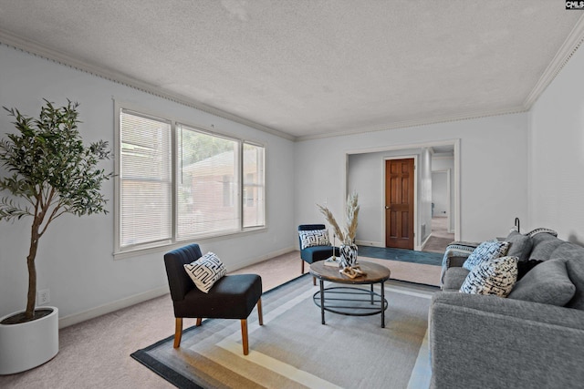 3040 Barnes Springs Rd, Columbia, SC 29204 - living room with a textured ceiling, ornamental molding, carpet, and baseboards