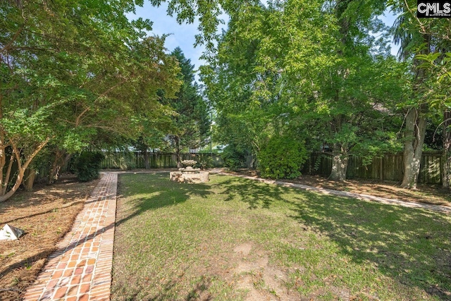 2203 Lincoln St, Columbia, SC 29201 - view of yard