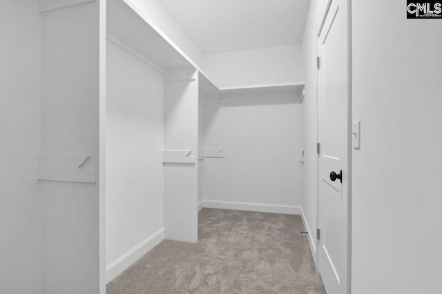 1409 Woodrow St, Columbia, SC 29205 - walk in closet featuring carpet
