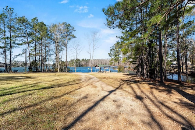 316 Smallwood Dr, Chapin, SC 29036 - view of grassy yard