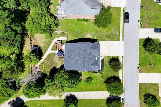 bird's eye view