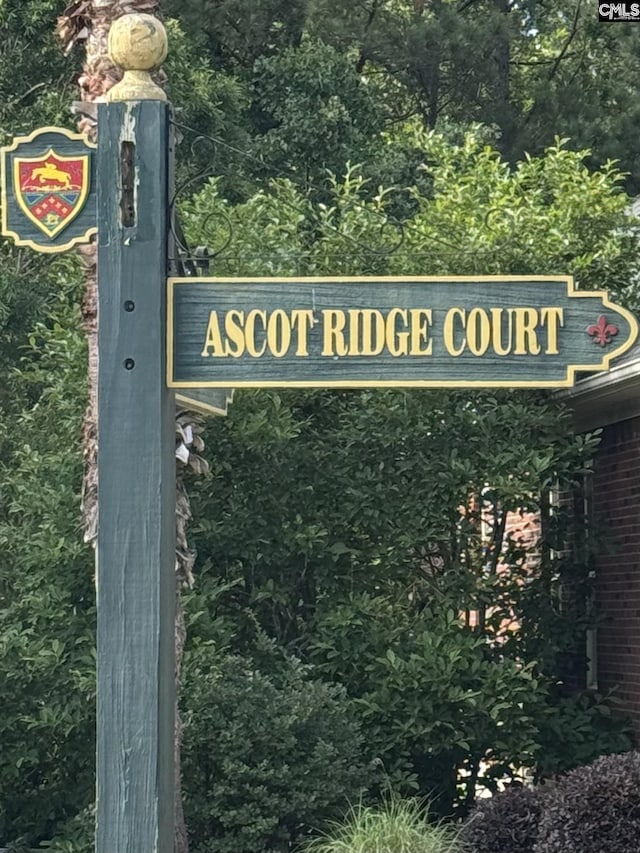 9 Ascot Ridge Ct, Irmo, SC 29063